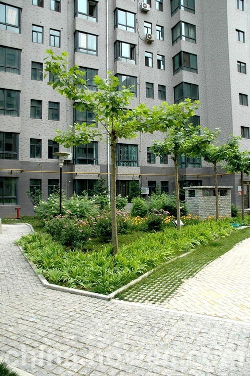 陜西峻錦園林景觀工程