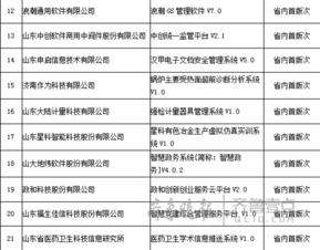 山東發(fā)布首批首版次高端軟件產(chǎn)品，34項網(wǎng)絡(luò)與信息安全軟件開發(fā)項目入選